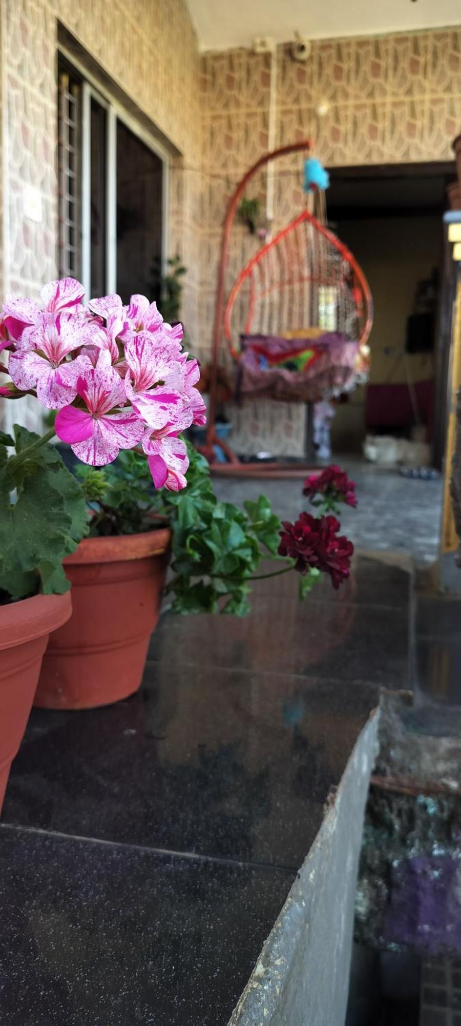 Royal Palm Homestay Madikeri Exterior foto